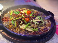 -老板恋上鱼(恒隆广场店)