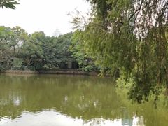 -人民公园(罗湖区)