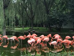 -石家庄市动物园