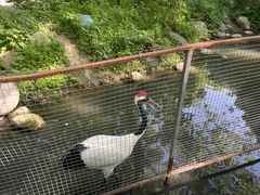 -常州淹城野生动物世界