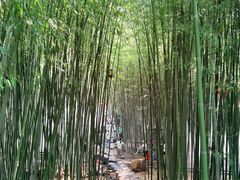-竹泉村旅游度假区