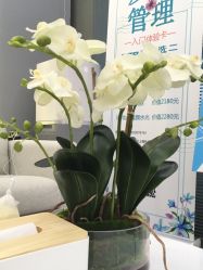 点击看大图 -时光海科学美肤中心