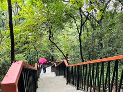 -天鹿湖森林公园
