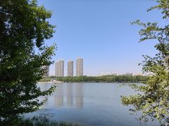 -长白岛森林公园