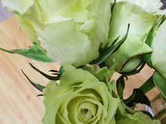 -鹿岛会员店 (龙湖三千集天街店)