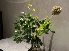 -鼎鼎香·港式火锅(北京SKP店)