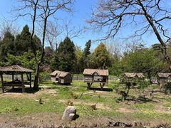 -上海野生动物园
