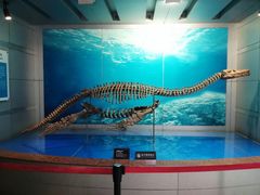 -自贡恐龙博物馆