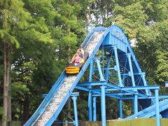 -上海共青森林公园