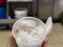 -洪馨椰子