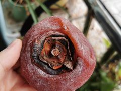 -每日新鲜水果吧(芮欧百货店)