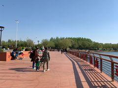 -丁香湖公园