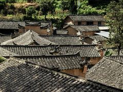 -杨家堂村