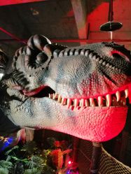 -恐龙探索乐园(磁器口店)