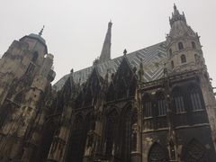 -斯蒂芬主教座堂(Stephansdom)