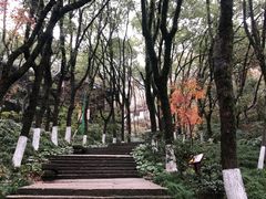 -宁波市保国寺古建筑博物馆