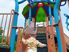 -两河城市森林公园