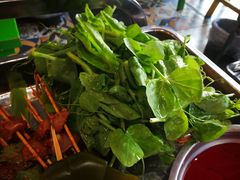 豌豆尖-钢管厂歆瑞源油卤串串香(春熙路太古里店)