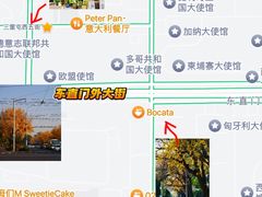 -三里屯东五街银杏大道