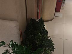 -泰合玺·精油疗愈 SPA(南京河西万达店)