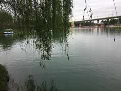 -秀丽东方