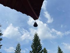 -深圳龙潭公园