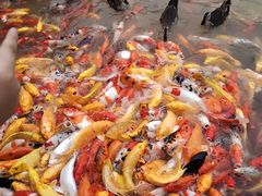 -泰安地下龙宫景区