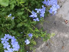-三溪村