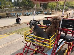 -永定河休闲森林公园