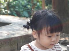 -火炉山森林公园