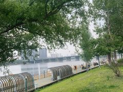 -长白岛森林公园