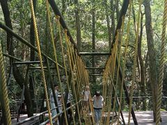 -富春桃源风景区