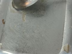 -华南师范大学石牌校区陶园