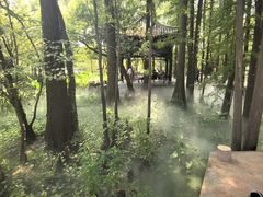 -东湖落雁景区