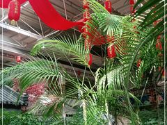 -新世纪绿洲(抚顺店)