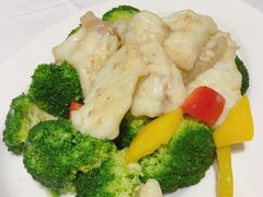 -美心皇宫(沙田大会堂店)