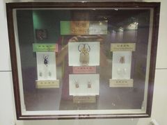 -上海昆虫博物馆