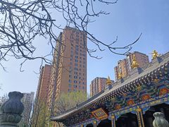 -护国法轮寺