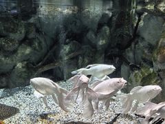-正佳极地海洋世界