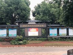 -合肥滨湖国家森林公园