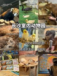 -Zoolung Zoolung动物主题公园(海信广场店)