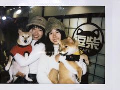 -逗柴咖啡屋·狗咖猫咖宠物桌游