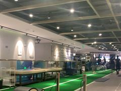 -银吉姆健身(恒隆馆)