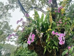 -人民公园(罗湖区)