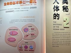 -陕西自然博物馆