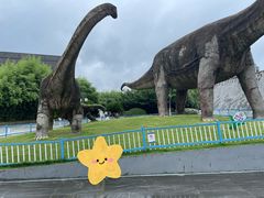 -安徽省地质博物馆