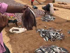 -尼甘布海鲜市场