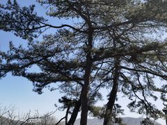 -妙峰山风景名胜区