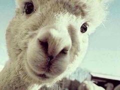 -博纳国际影城(淄博店)