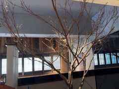 -黄山老妈·土菜(碧桂园店)